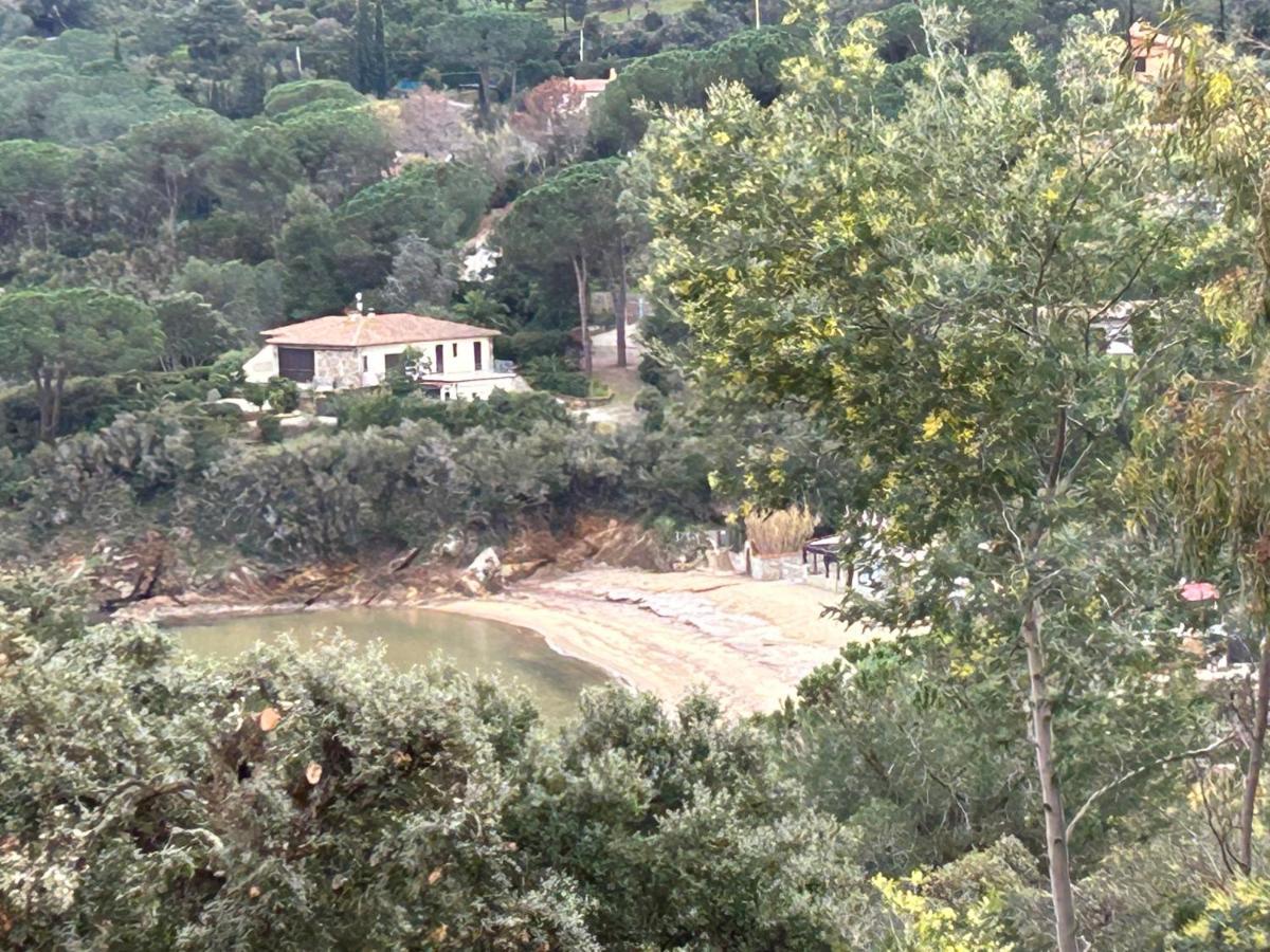 Suosogno Sul Mare 200Metri Dalla Spiaggia Capoliveri  Ngoại thất bức ảnh